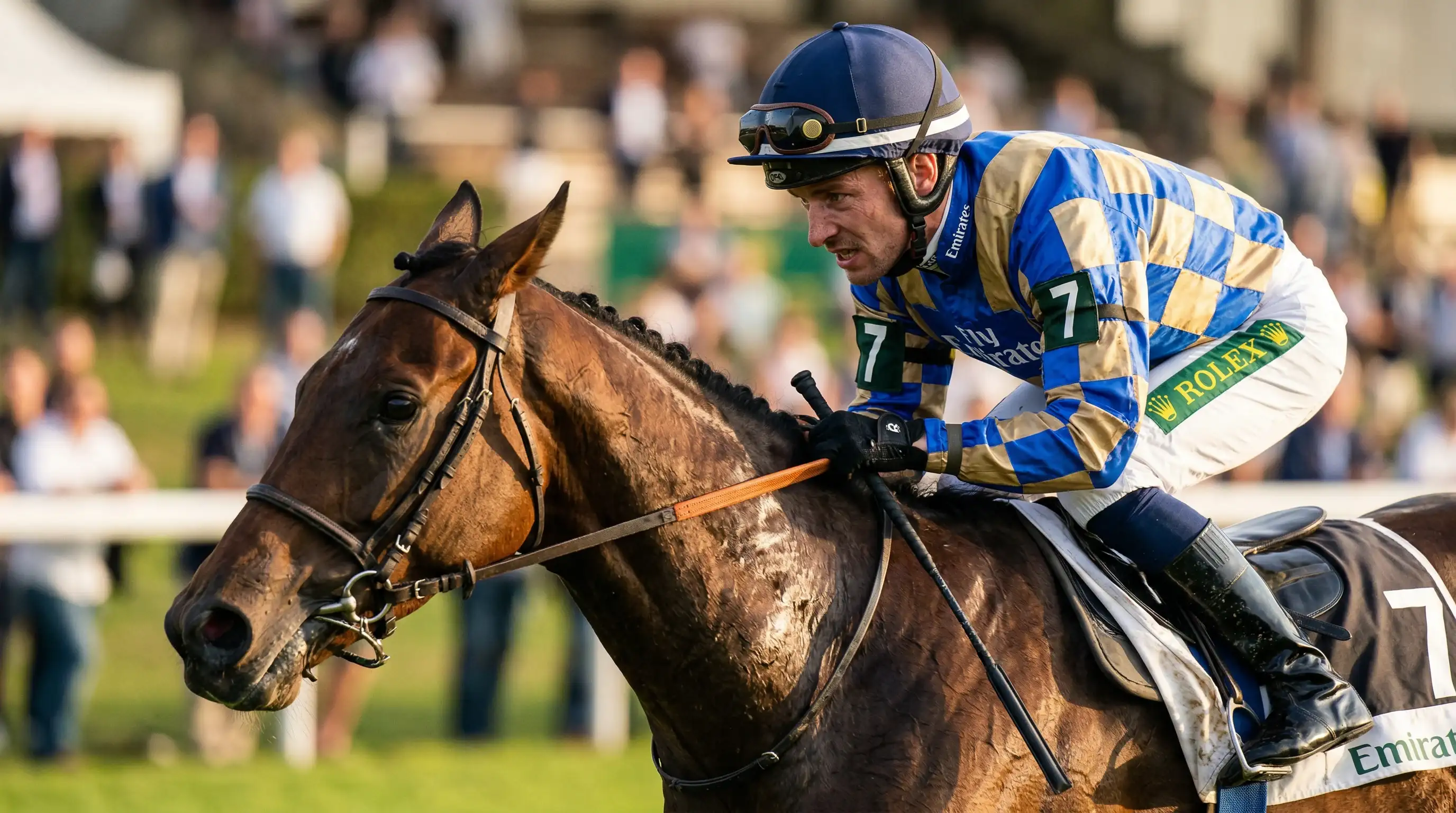 Jockey in bunter Rennseide reitet konzentriert auf einem Galopprennpferd