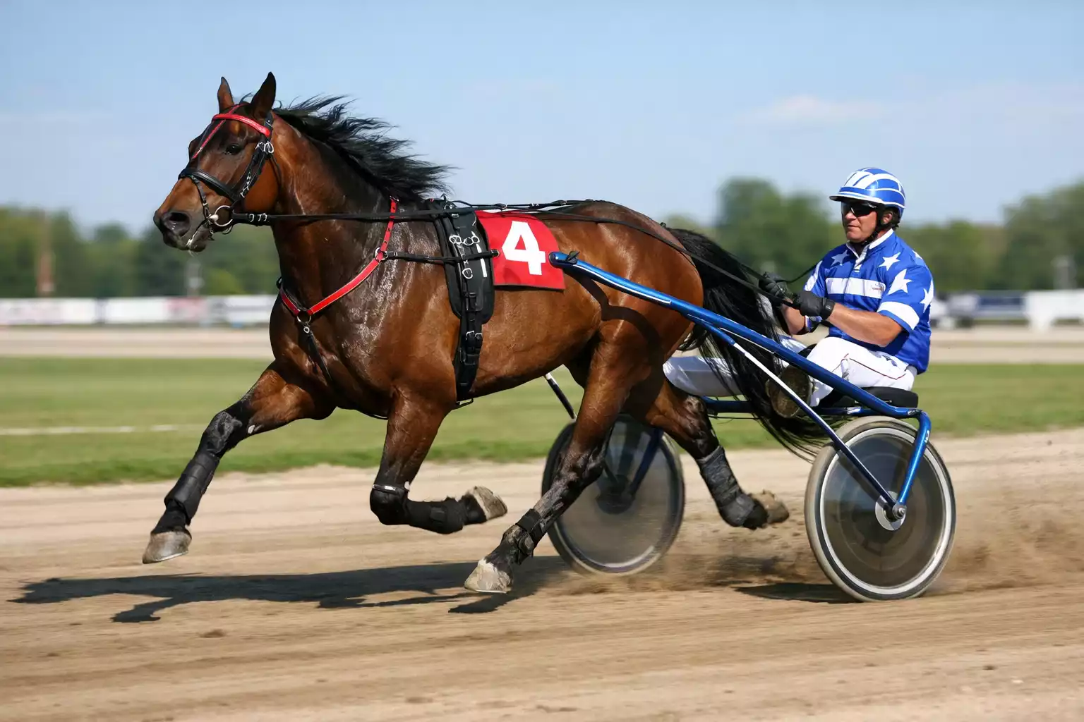 Trabrennpferd mit Sulky und Fahrer auf Sandbahn